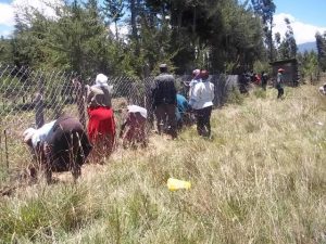  Kiria Primary parents organize themselves to finish the fence after the team leaves...
