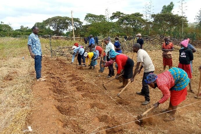 Sustainable solutions for poverty farm demo plot