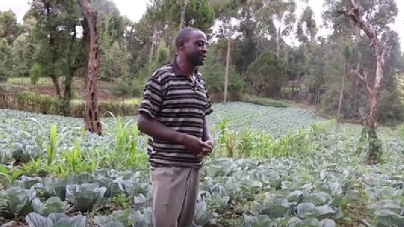 Timothy's Foundations for Farming Testimony from Irigithathi, Kenya.